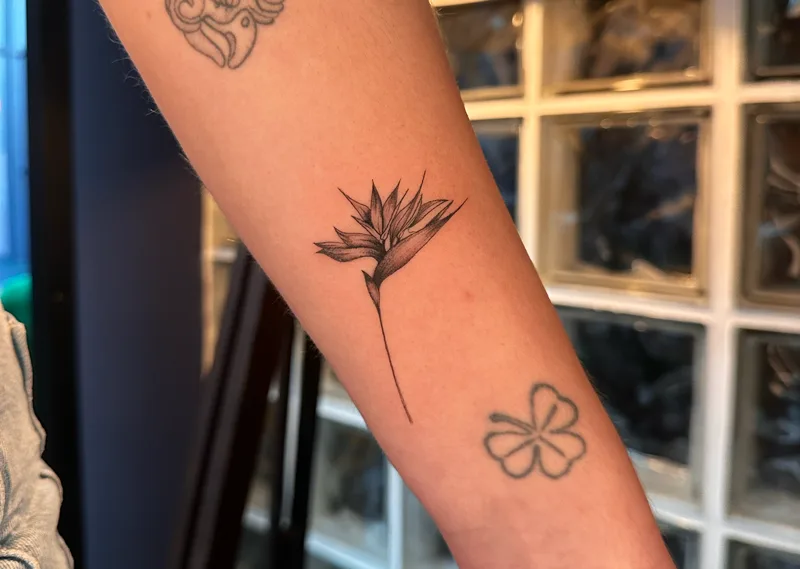How to Become a Fineline Tattoo Artist 5 what is fineline tattoo