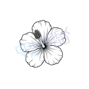 Hibiscus-Tattoo-1