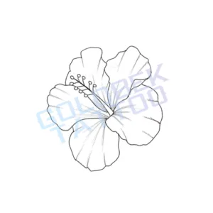 Hibiscus-Tattoo-2