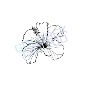 Hibiscus-Tattoo-4