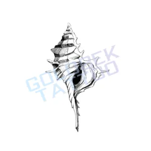 Seashell Tattoo