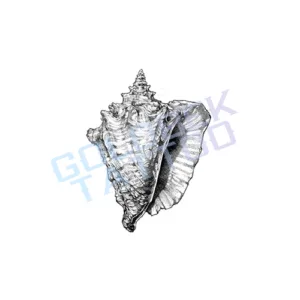 Seashell Tattoo