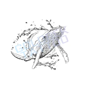 Whales Tattoo Fineline