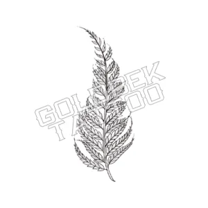 Fern Tattoo
